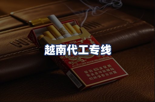 越南代工专线